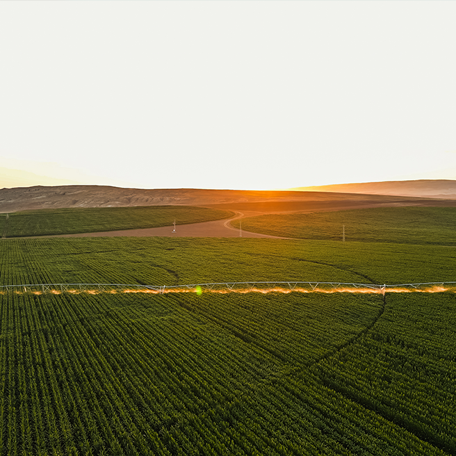 Bala Tarım - Image 4